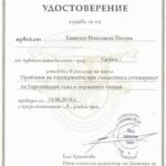 Сертификат за професионална квалификация – адвокат Камелия Йотова